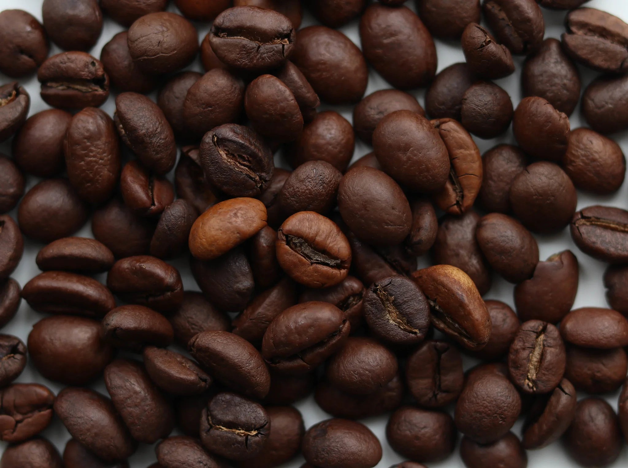 Everyday fresh roast- bonen