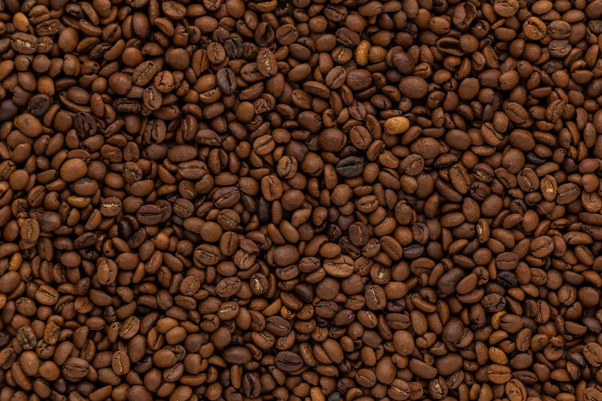 Koffie bewaren hoe houd ik mijn koffie vers